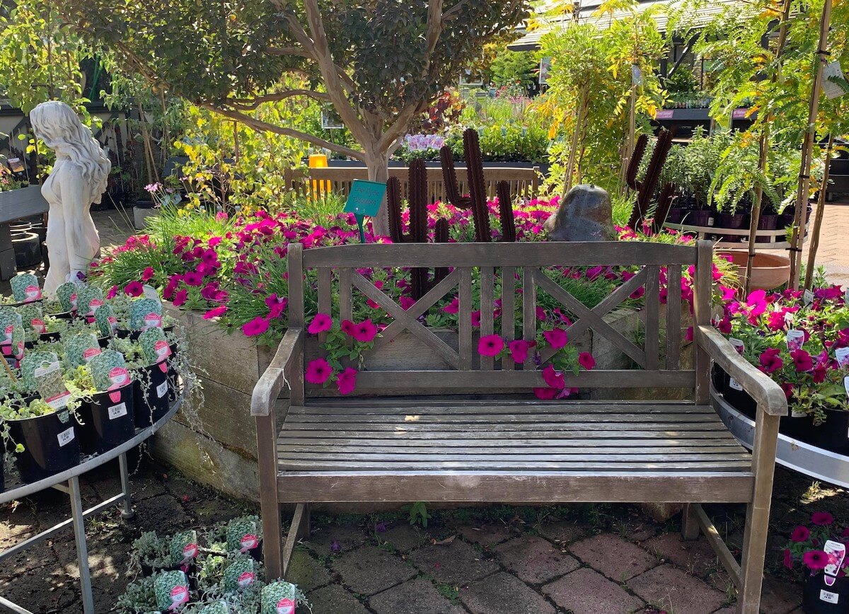 Nursery Bellarine Peninsula with garden plants and chair