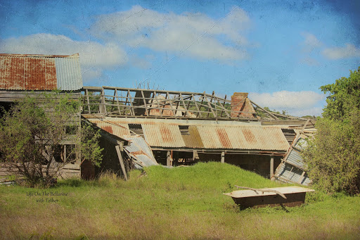 Old Lincoln farm shows historical past in Victoria coastal town